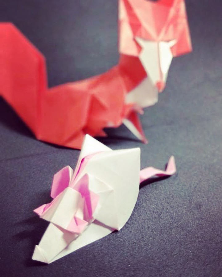 Poor photo quality? Check.\nAmateur Origami? Check&mldr;.