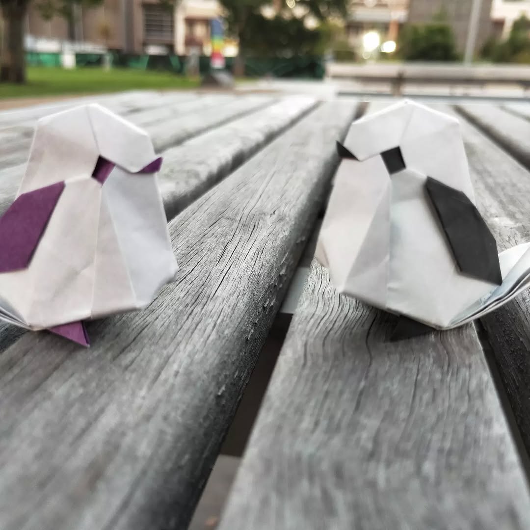 Hey look! A pair of tits.
Yeah, I think that’s a…