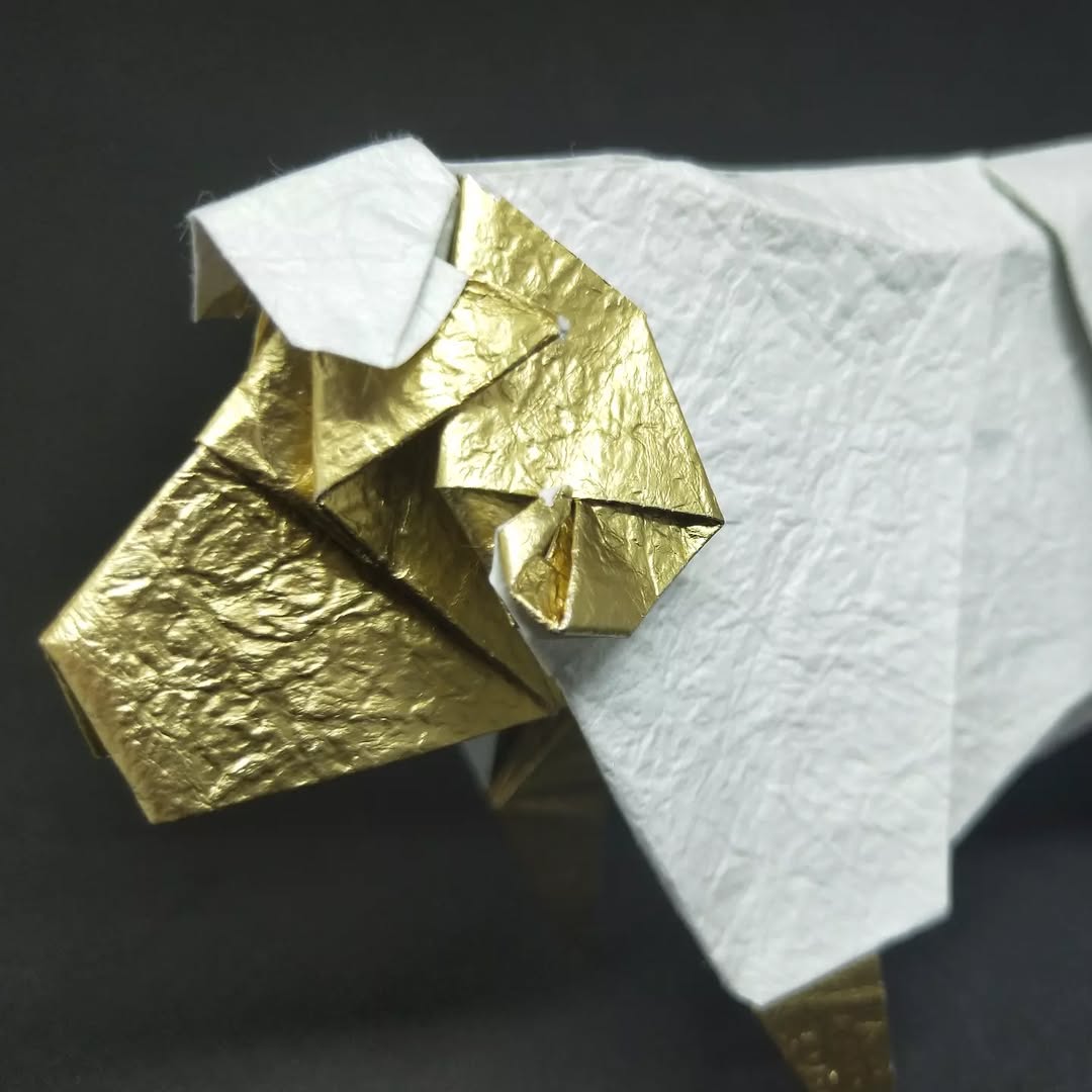 Yeah I realized for someone from New Zealand I act&mldr;