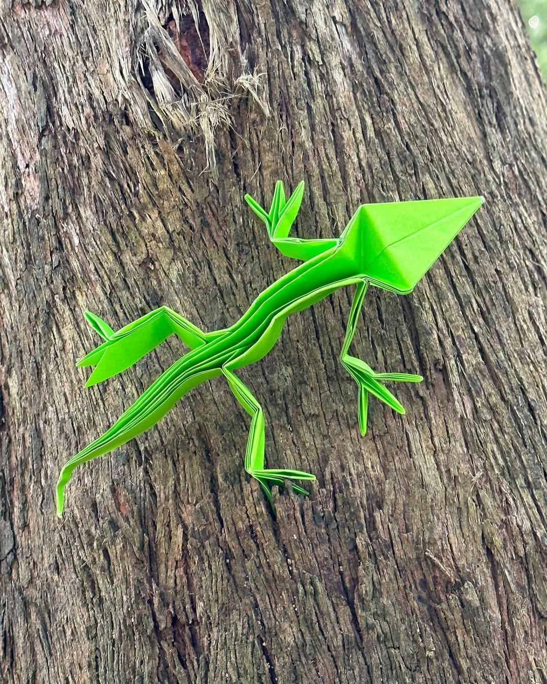 Decided to go tramping (or hiking) for the first t&mldr;