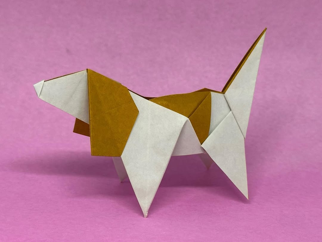 So the last weekend was Origami World Marathon, wh&mldr;