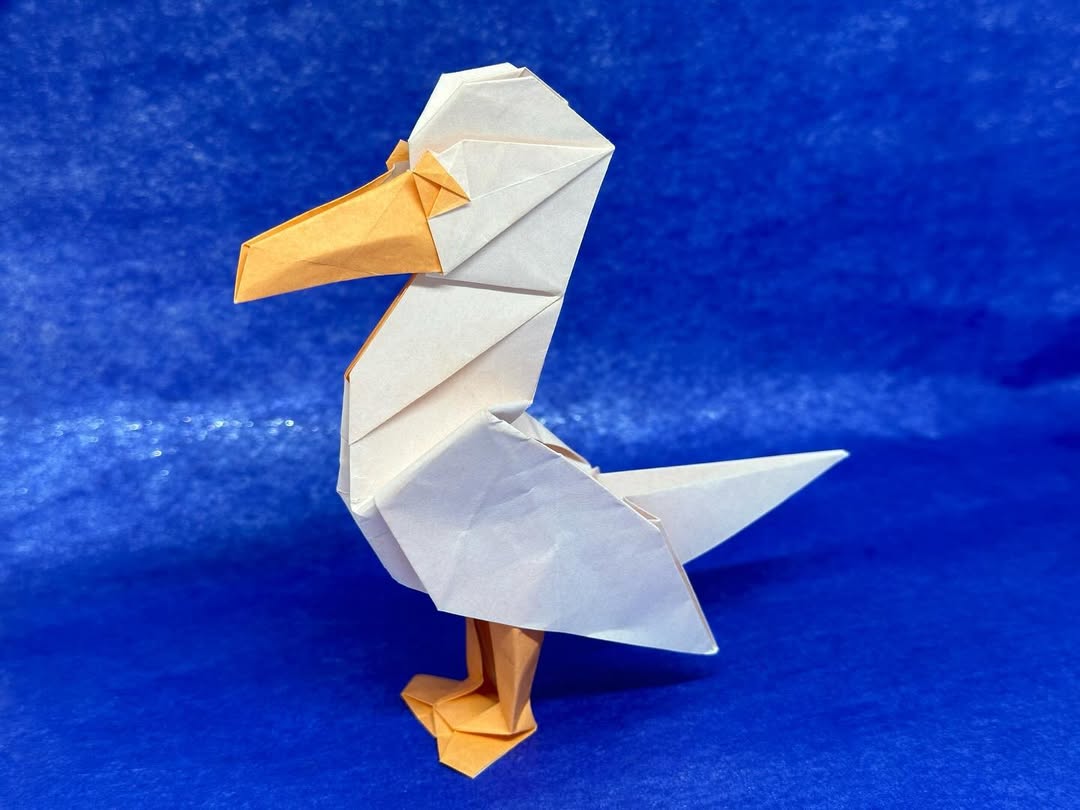 Alrightey so those who aren’t on my facebook probs&mldr;