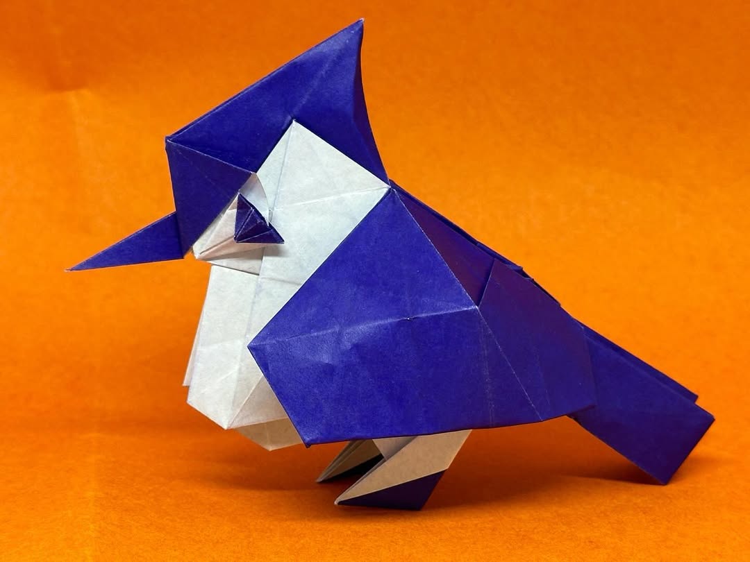 So next up is this Blue Jay. Today I found out the&mldr;