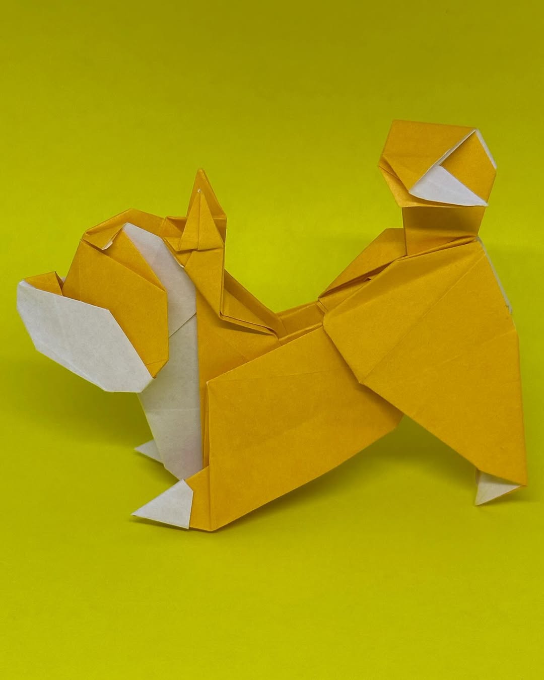 Much paper, very wow, many origami. Yeah day eleve&mldr;