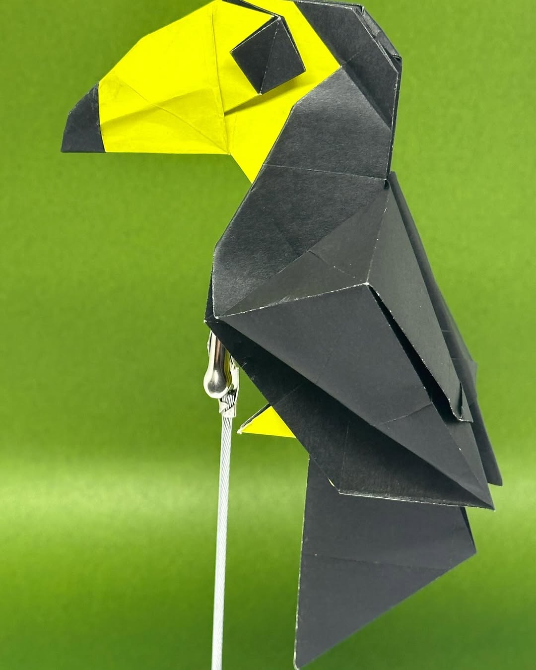 Day fifteen. Three more until the crushing realisa&mldr;