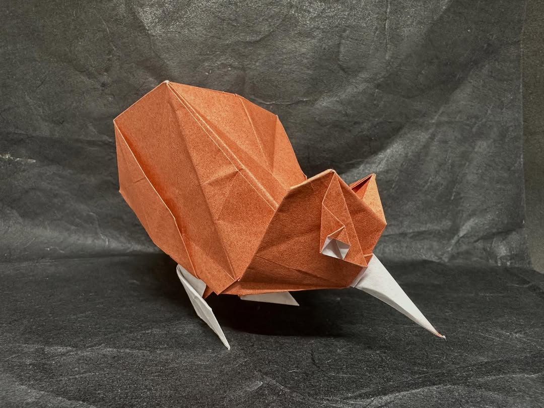 E tangi ana koe…
What an appropriate song choice …