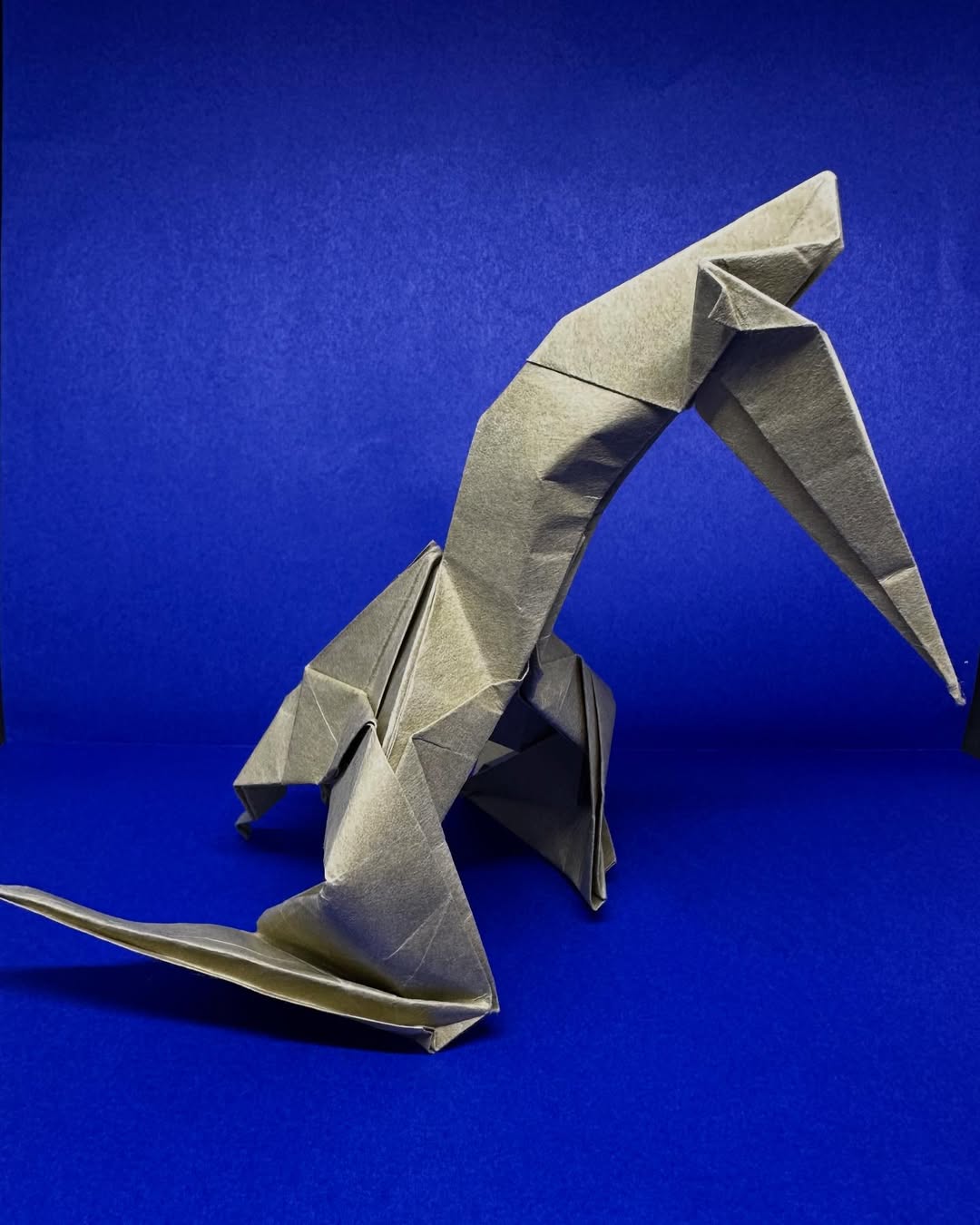 I’ll get these in… even if it means going to bed a&mldr;