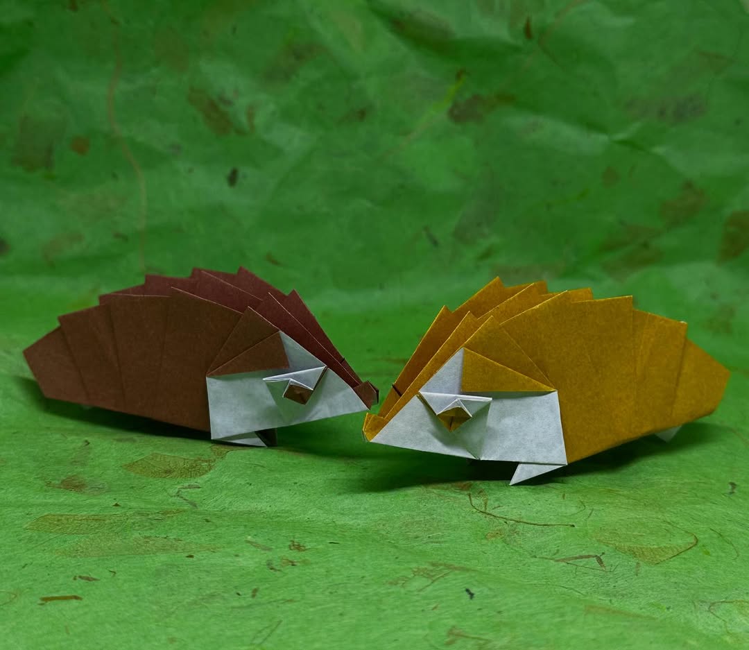 Alright, now for day two. The model I had actually&mldr;